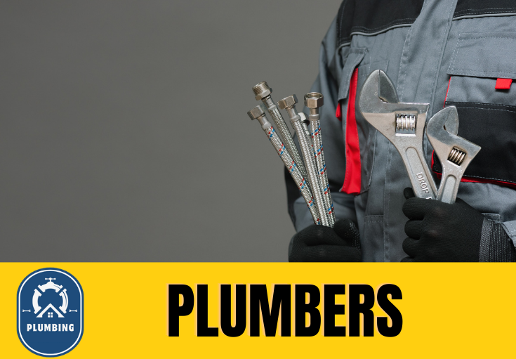 plumber Wensley